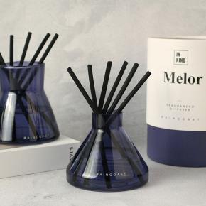 # 21111 100ML REED DIFFUSER